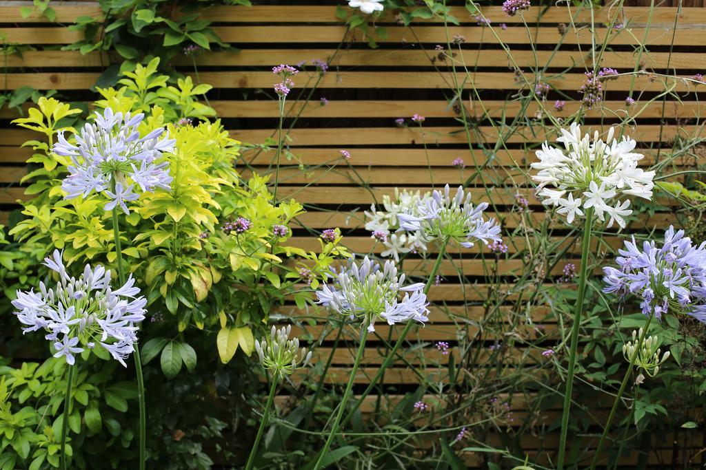 Shoreditch 1 With Garden Londra Cameră foto